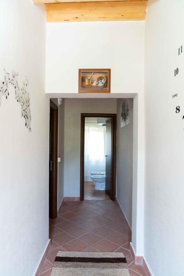 B&B Aria Antica Verbicaro Exterior photo